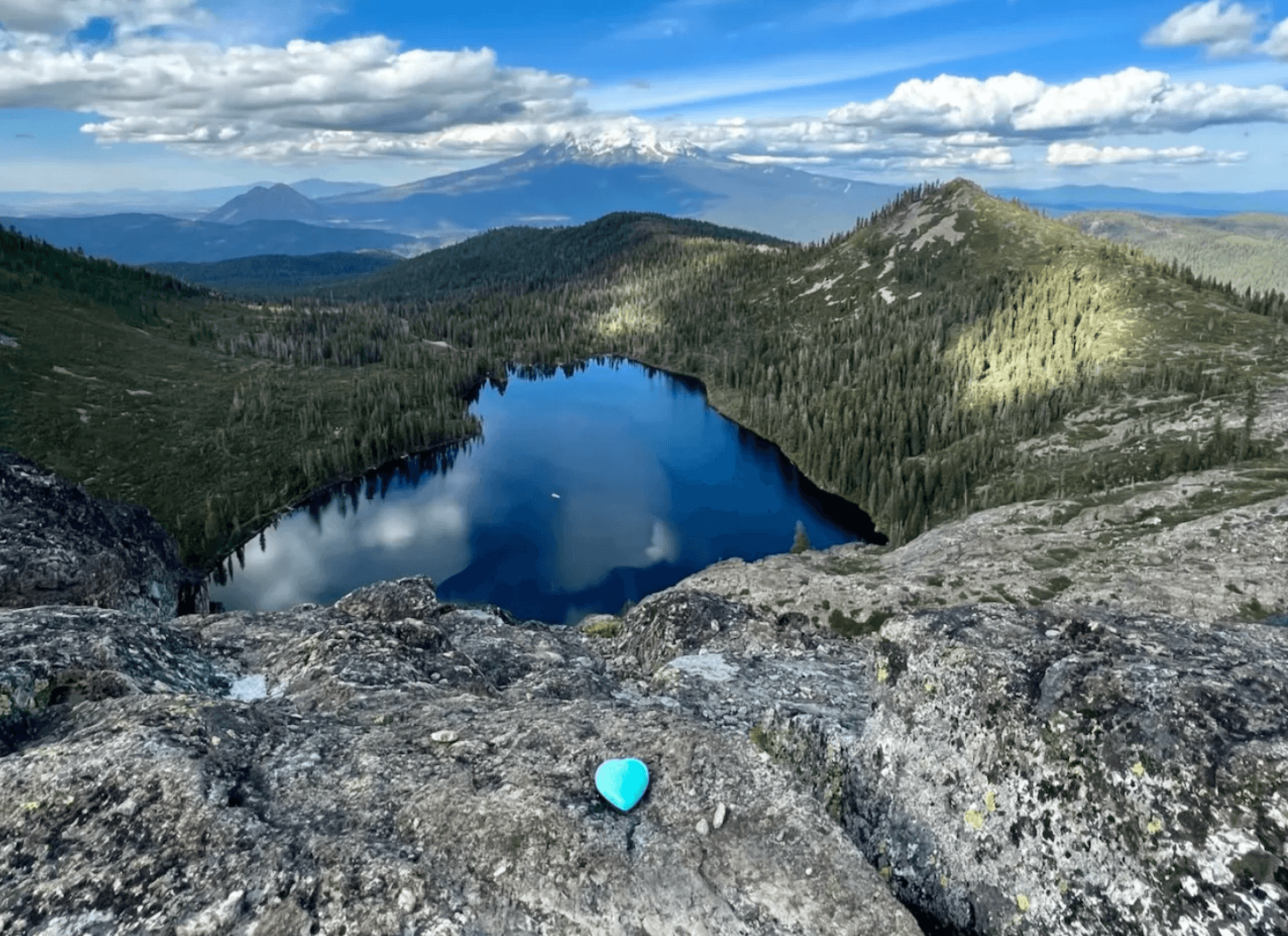 Shasta Dream